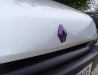 purple2.webp