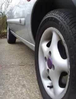 purple4.webp