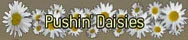 PushinDaisies.webp