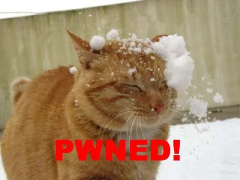 pwned-48495.webp