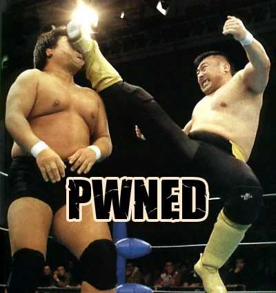 pwned-facekick.webp