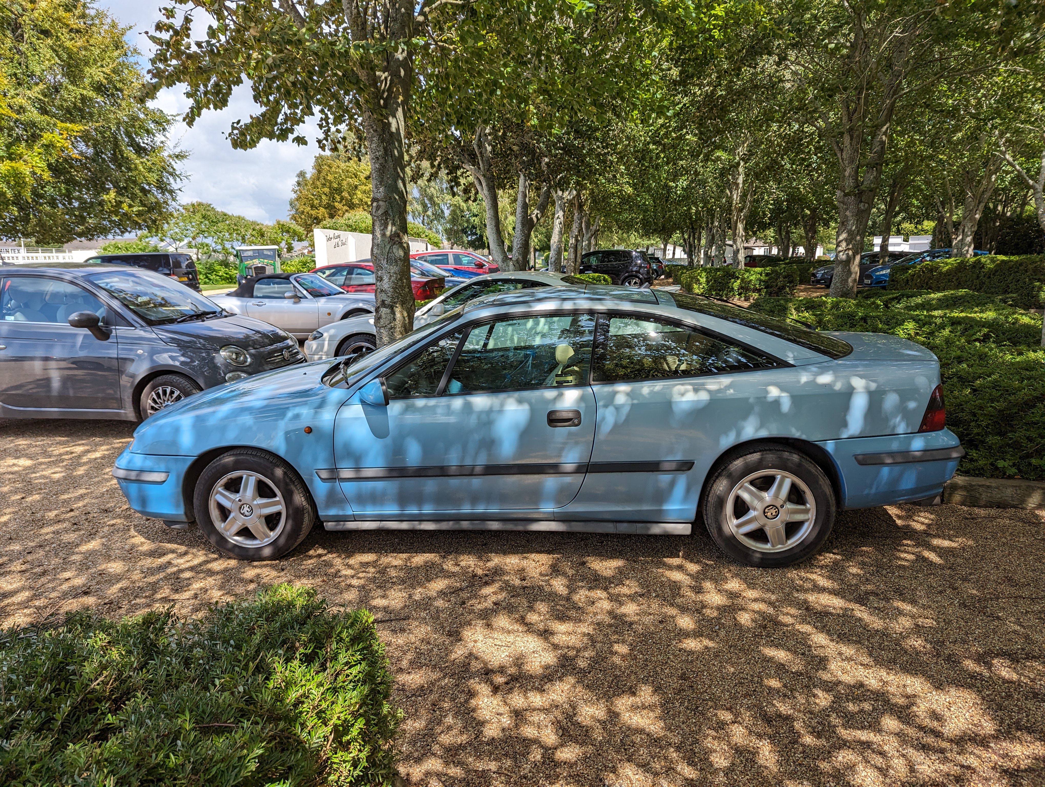 PXL_20230729_111341462.jpg