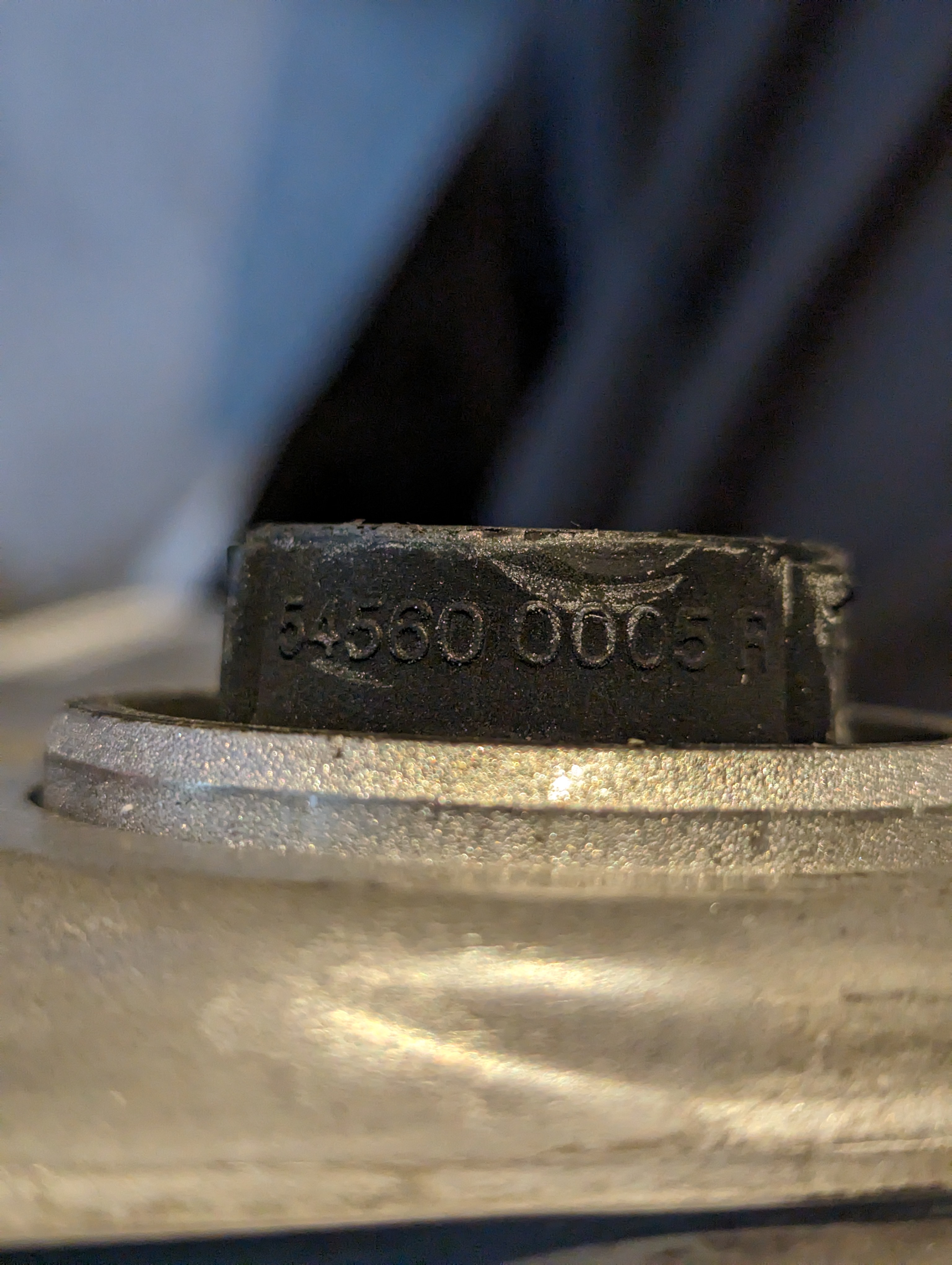 PXL_20240524_172531118.jpg