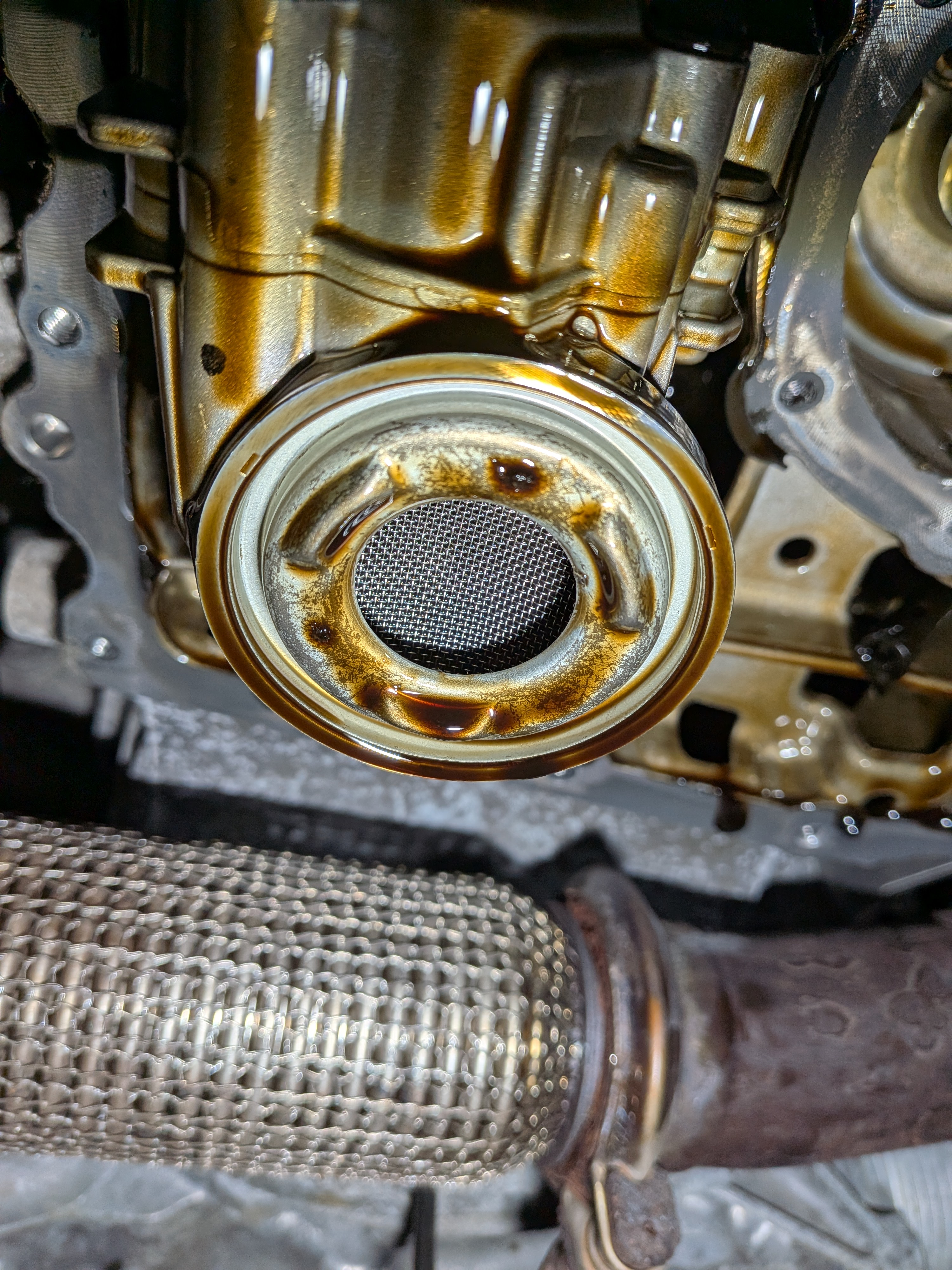 PXL_20251007_171618850.jpg