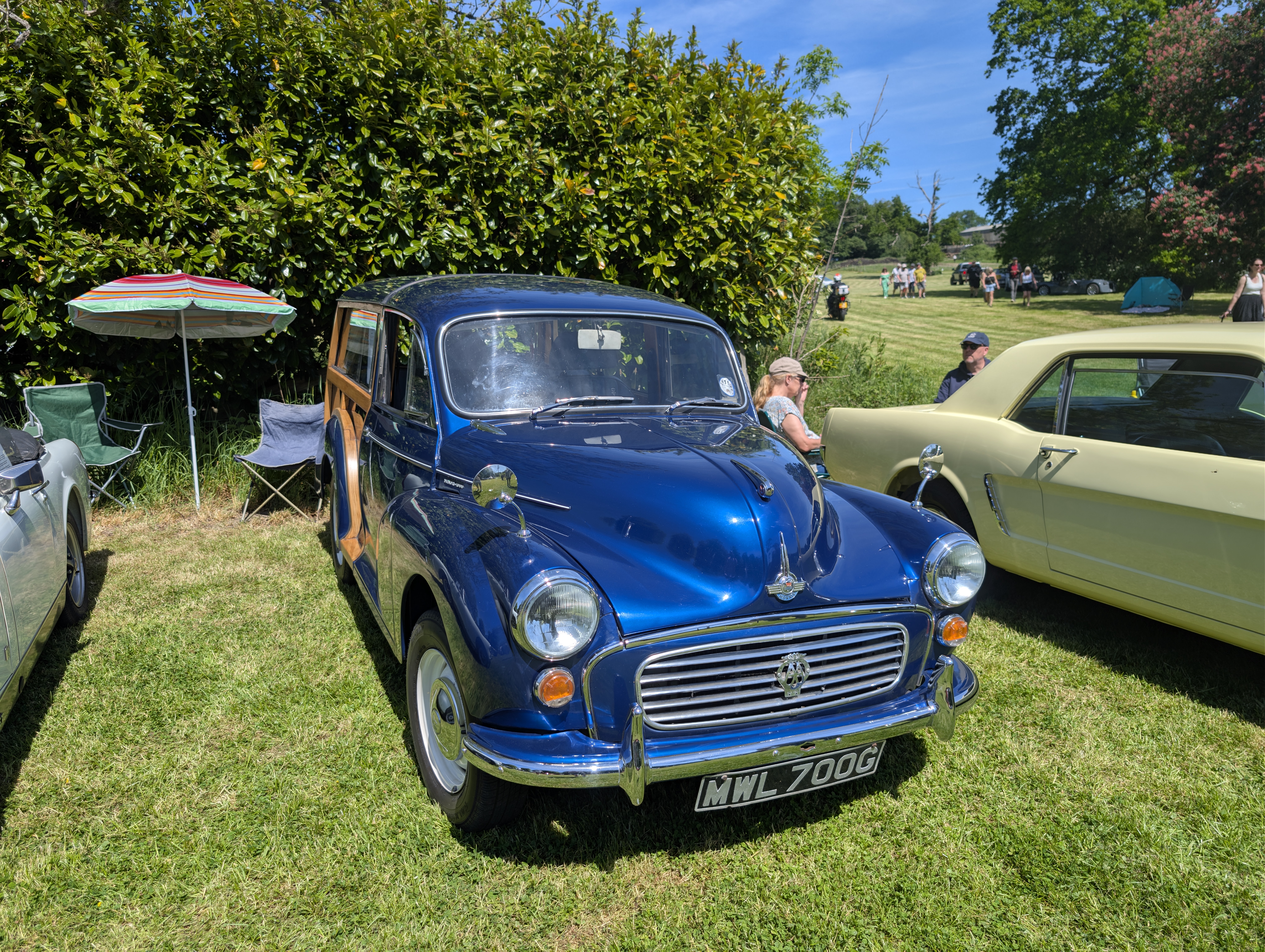 PXL_20260524_104347252.jpg