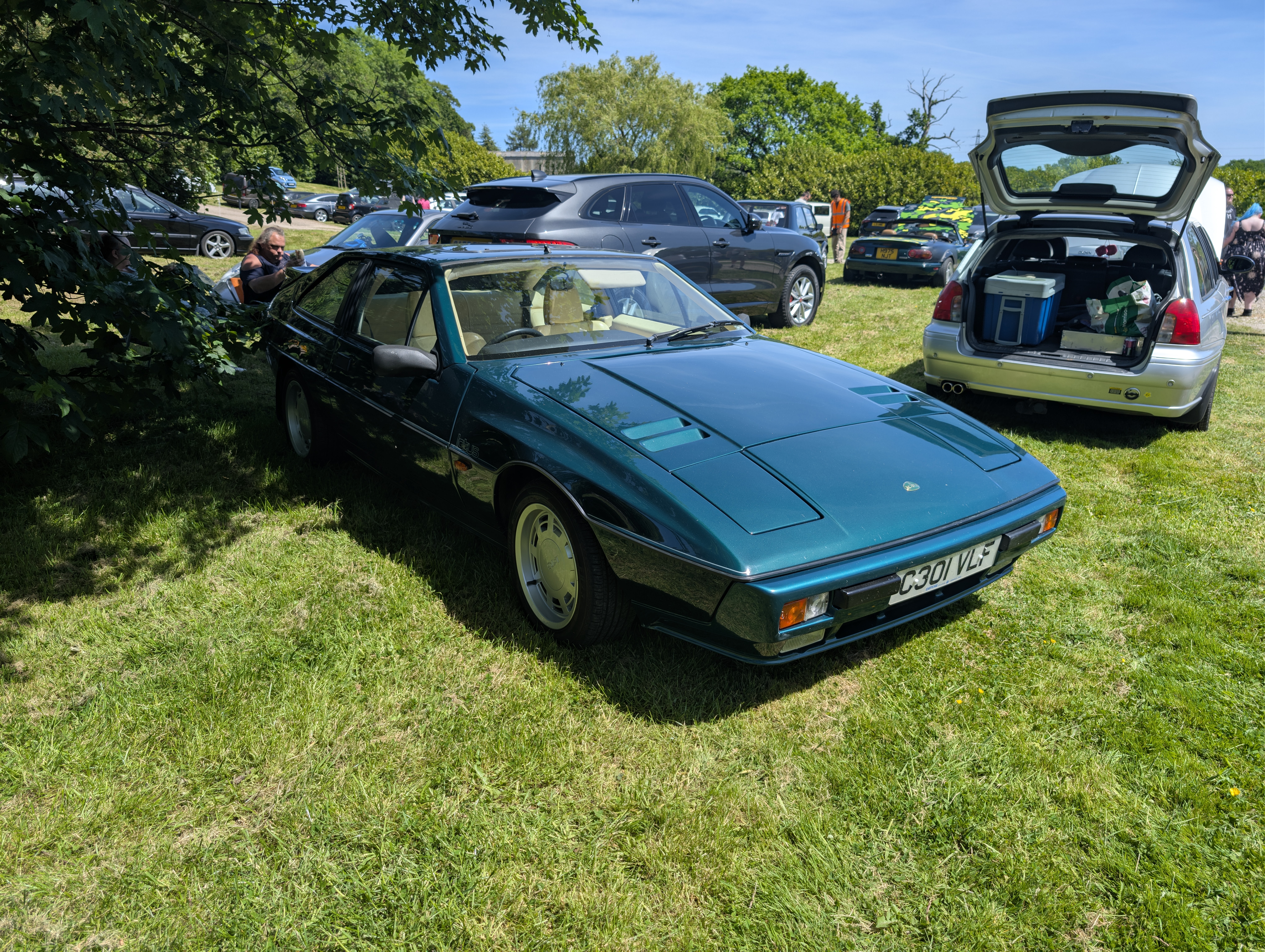 PXL_20260524_112325526.jpg