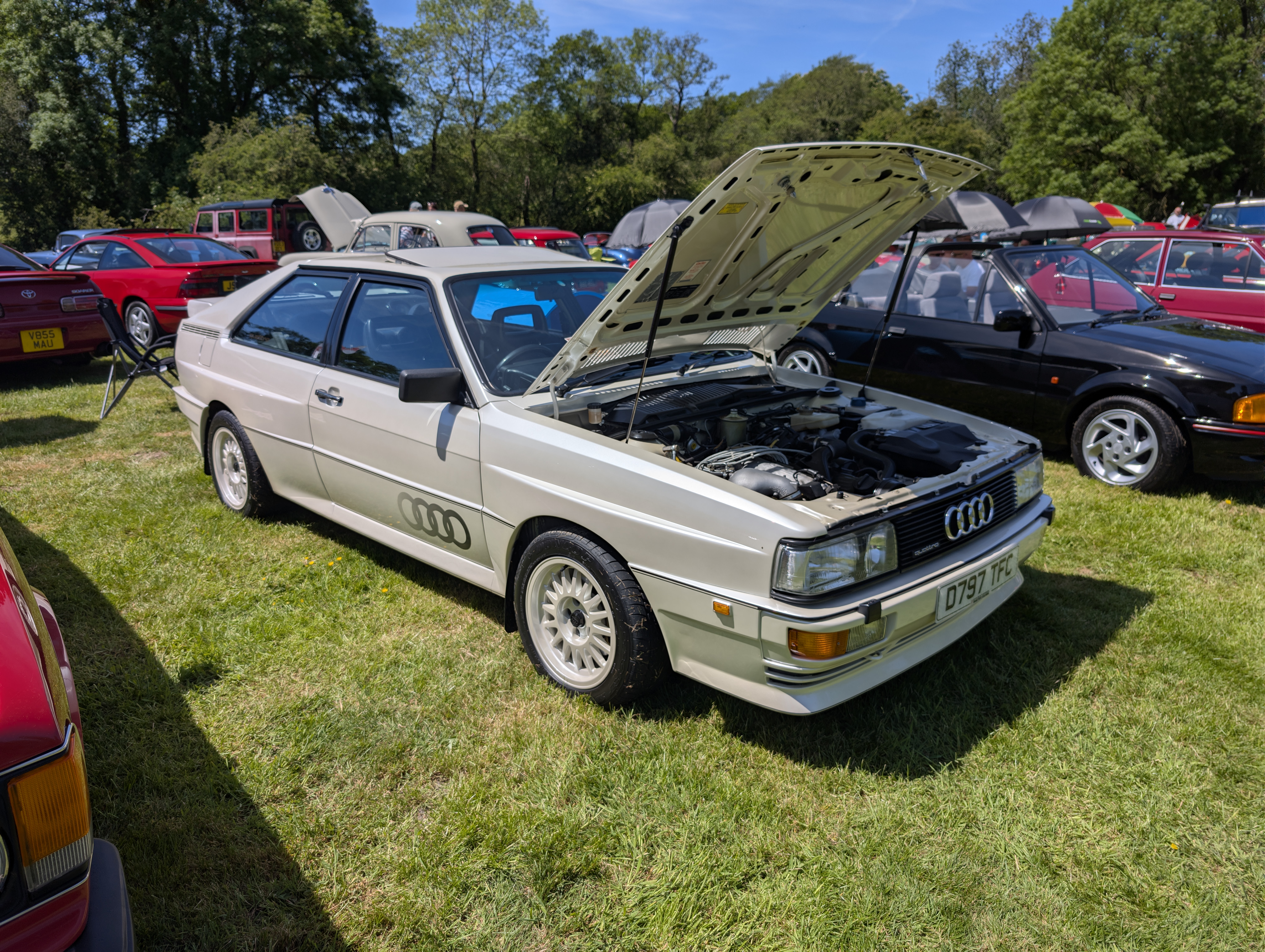 PXL_20260524_115557510.jpg