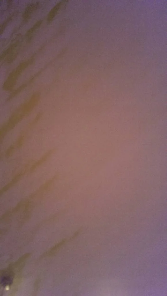 qu7yju4y.webp