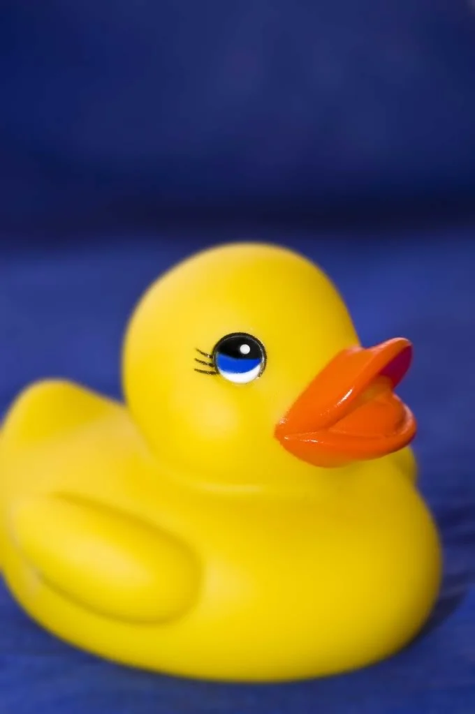 Quak.webp