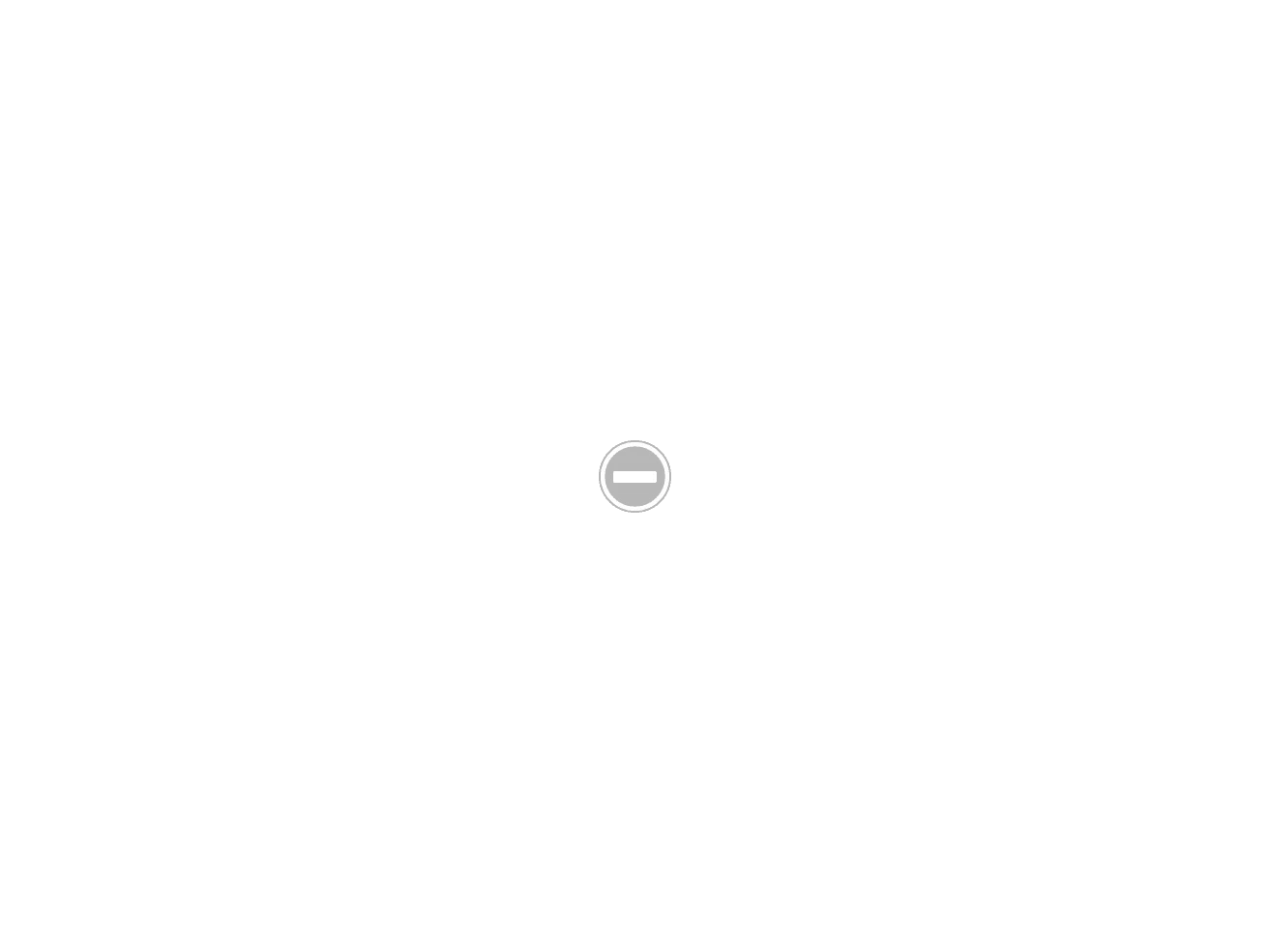 r4Q_HoNPwkSTIOvQt6vpaXQmMyBqbrLpKvNLWYS1kEkBHQYZHp5aJIE-vgATmQP9z0O9anPjla4n6GaL1o=w1314-h986...webp
