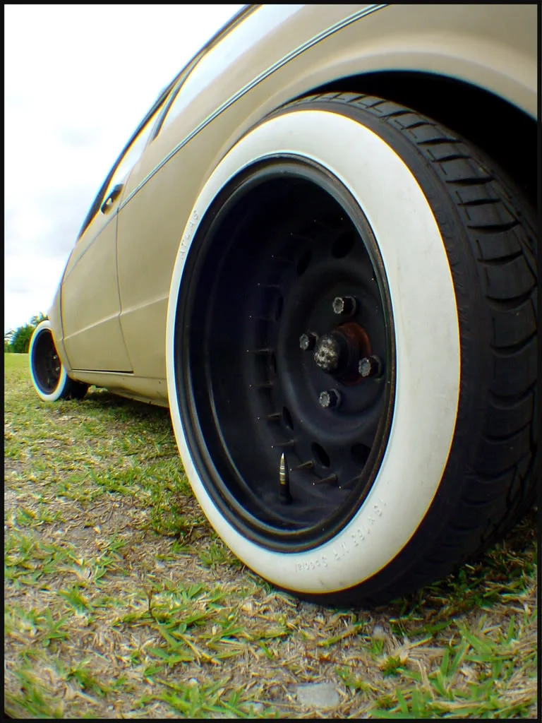 rabbit55.webp