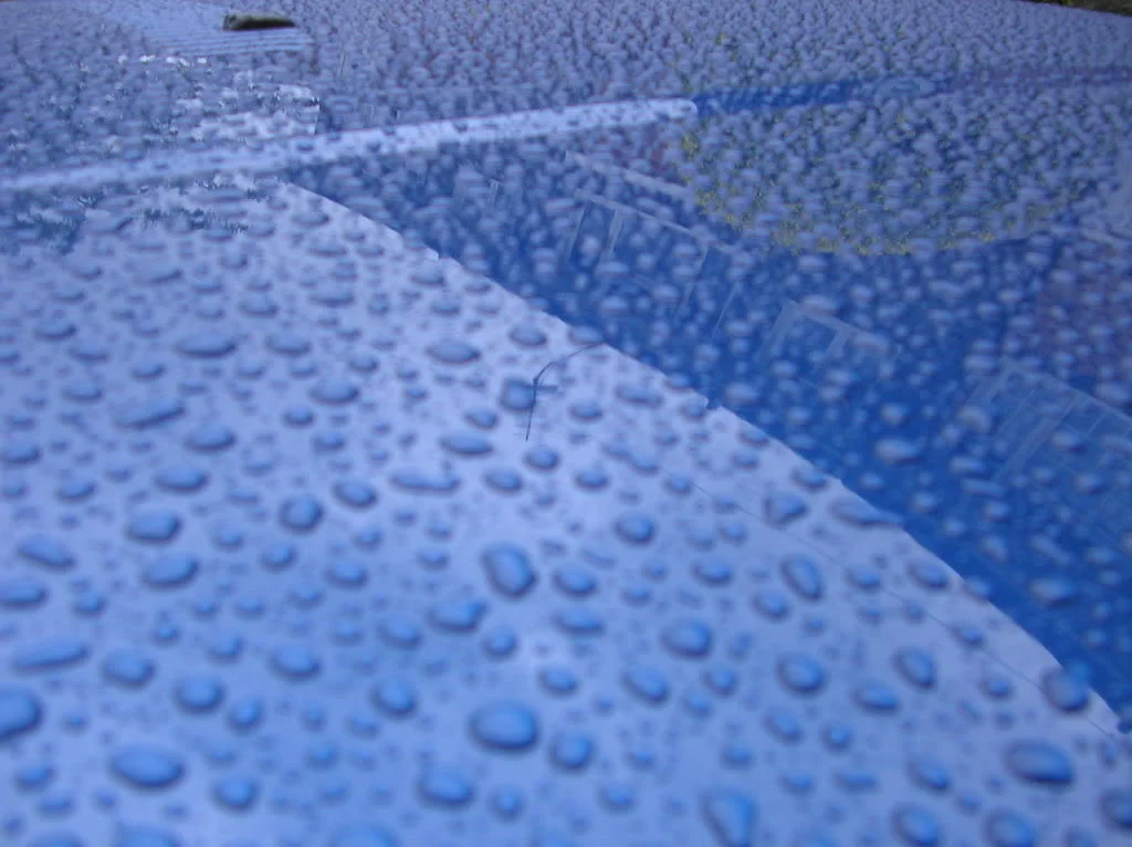 RAIN005.webp