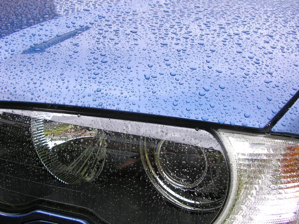 RAIN007.webp