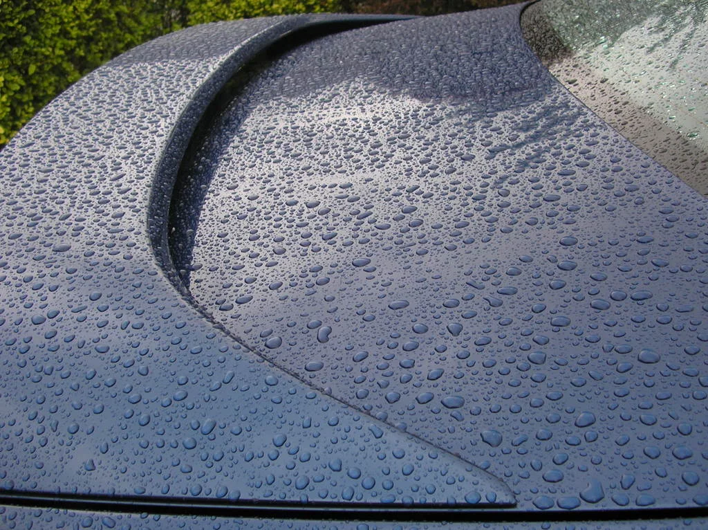 RAIN010.webp