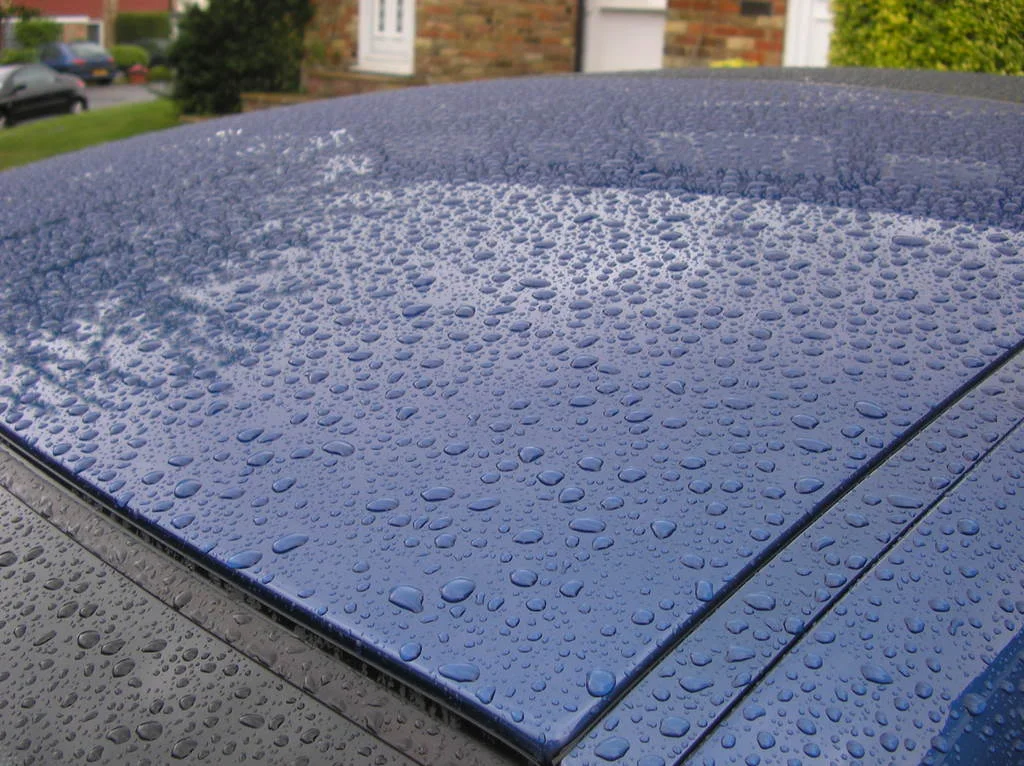RAIN011.webp