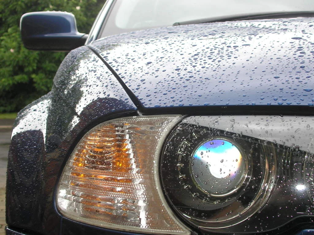RAIN030.webp