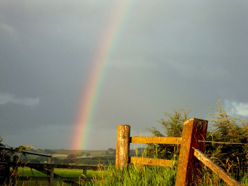 Rainbowaltered.webp