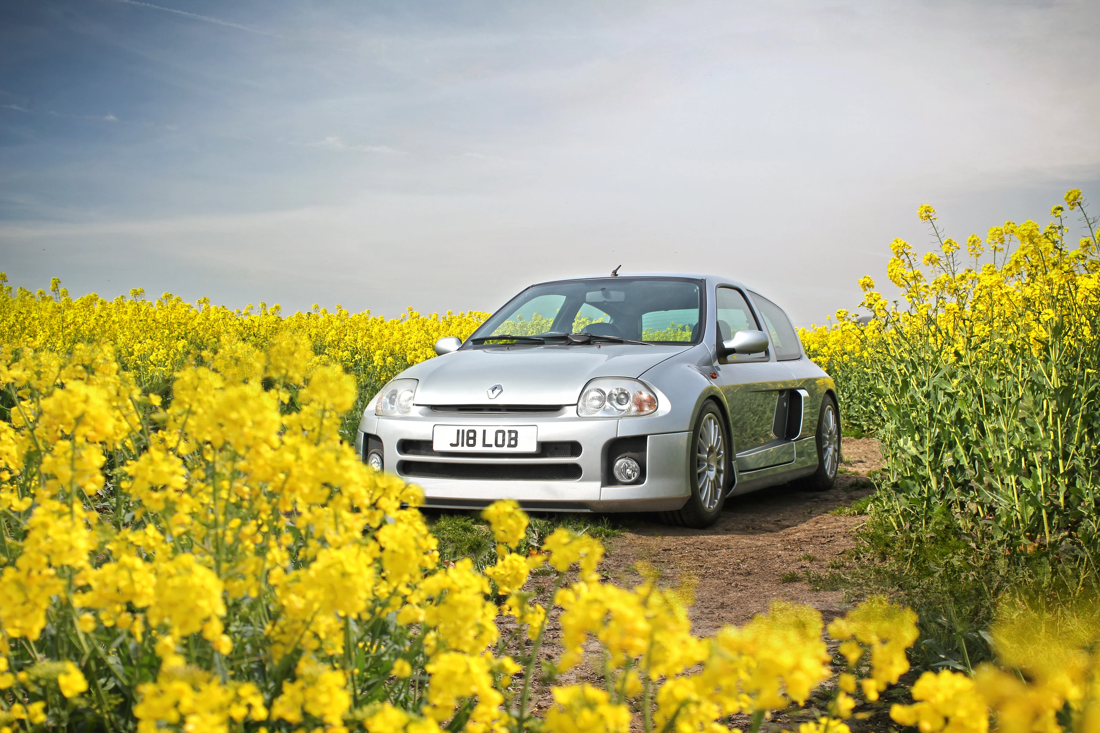 Rape Seed 2019.webp