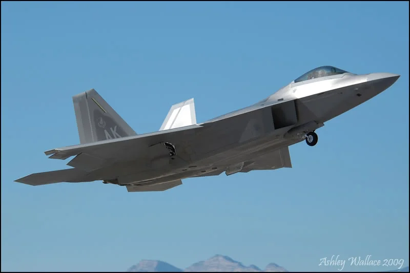 Raptor_13.webp