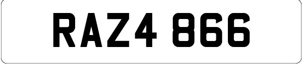 RAZA.webp