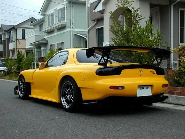 rear.webp