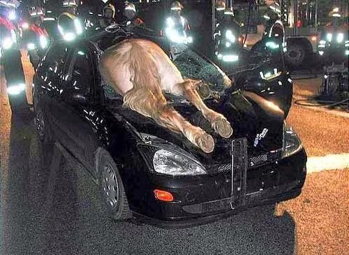 recent+car+accidents.webp