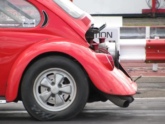 redbeetle.webp