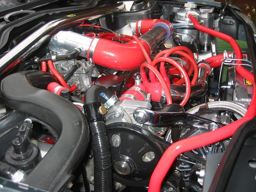 redhoses0001.webp