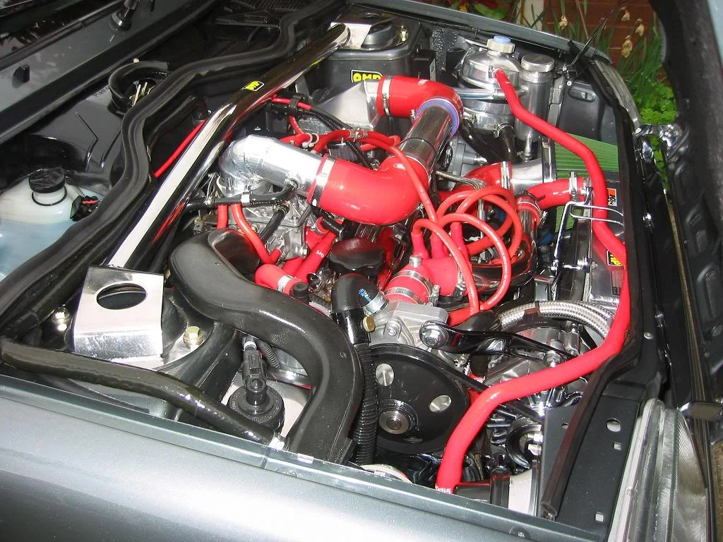 redhoses0008.webp
