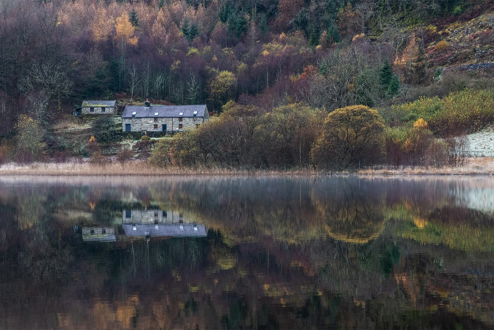 REFLECTION.webp
