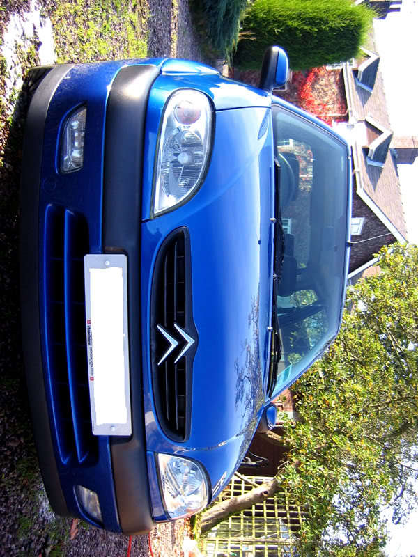 reflections012.jpg