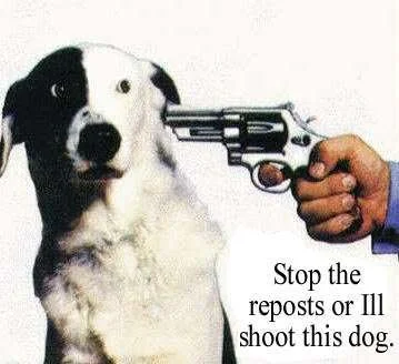 repost.webp