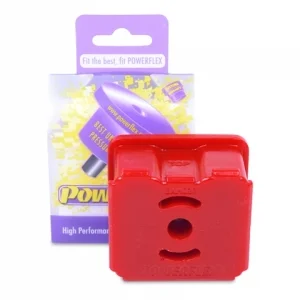 resize_image (1).webp