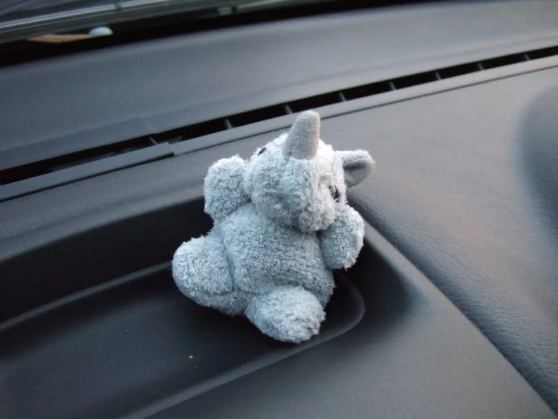 Rhino.webp