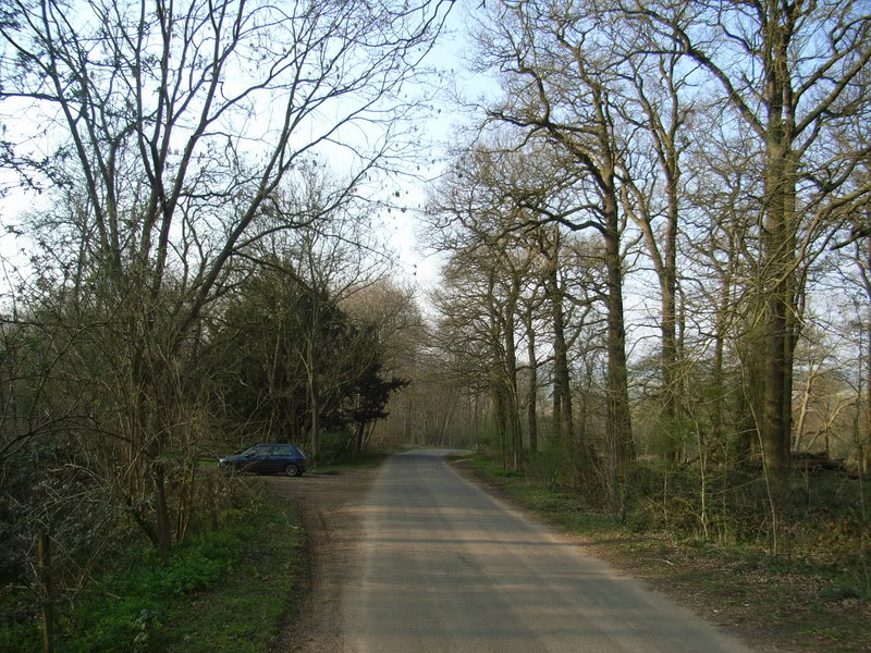 RIMG0394.jpg