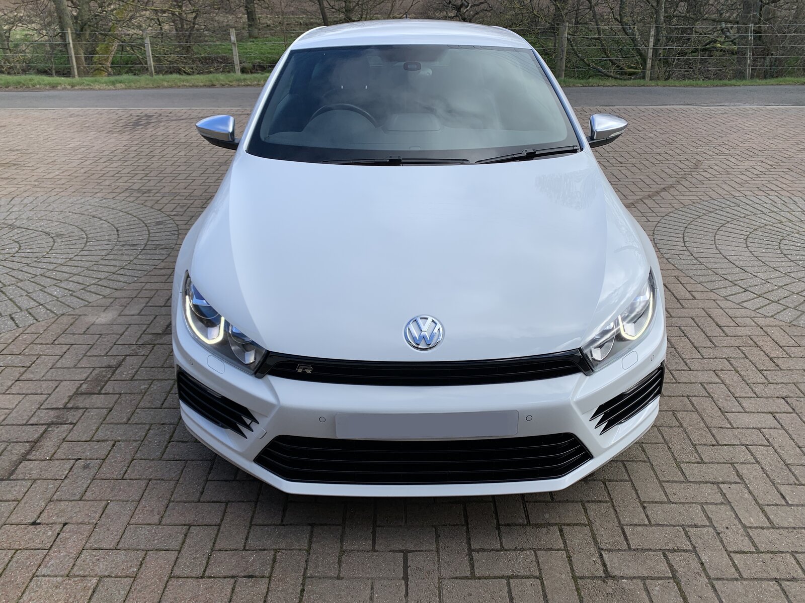 Rocco 3:20 011.JPG