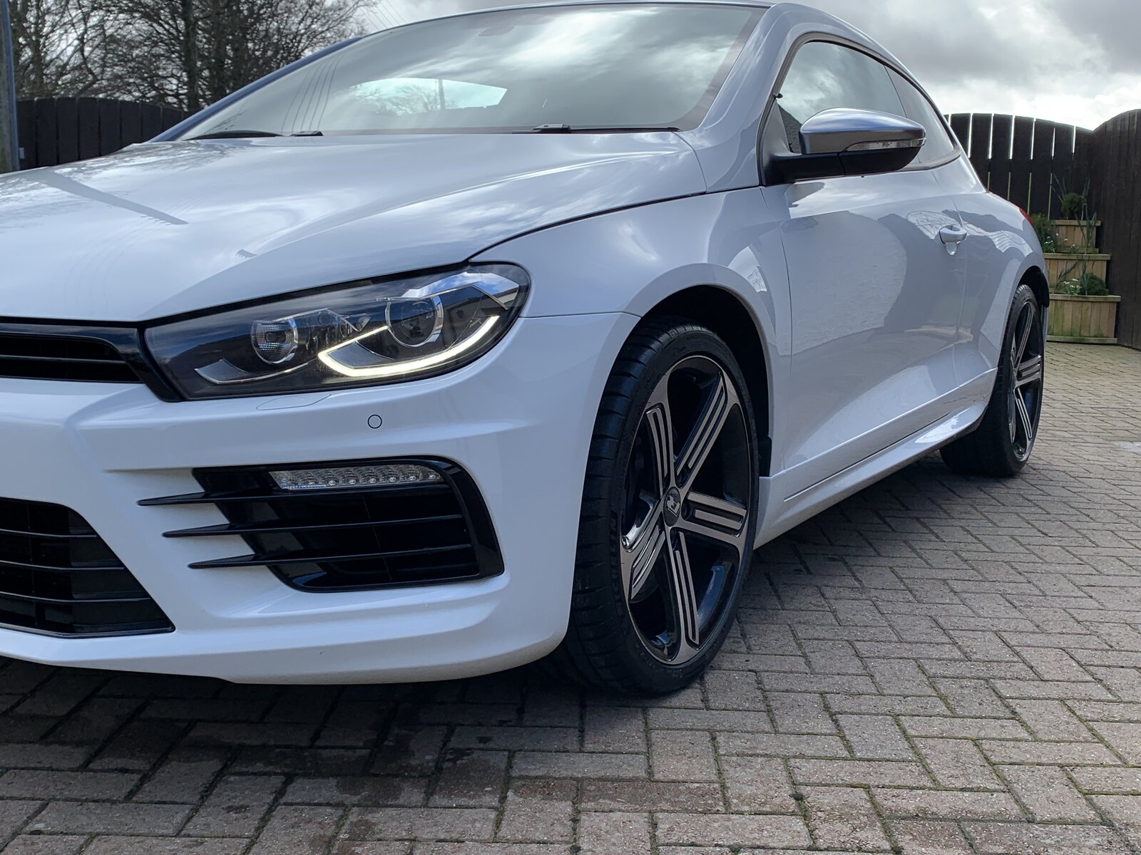Rocco 3:20 012.JPG