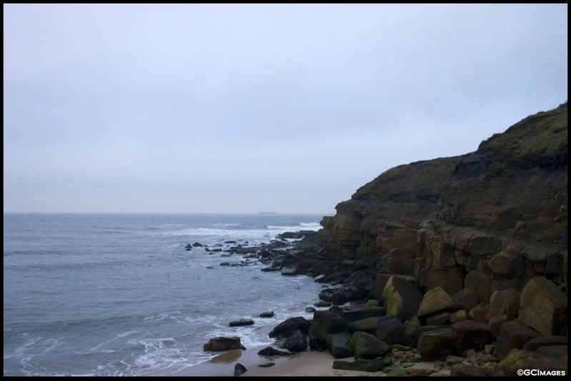 RockFace.webp