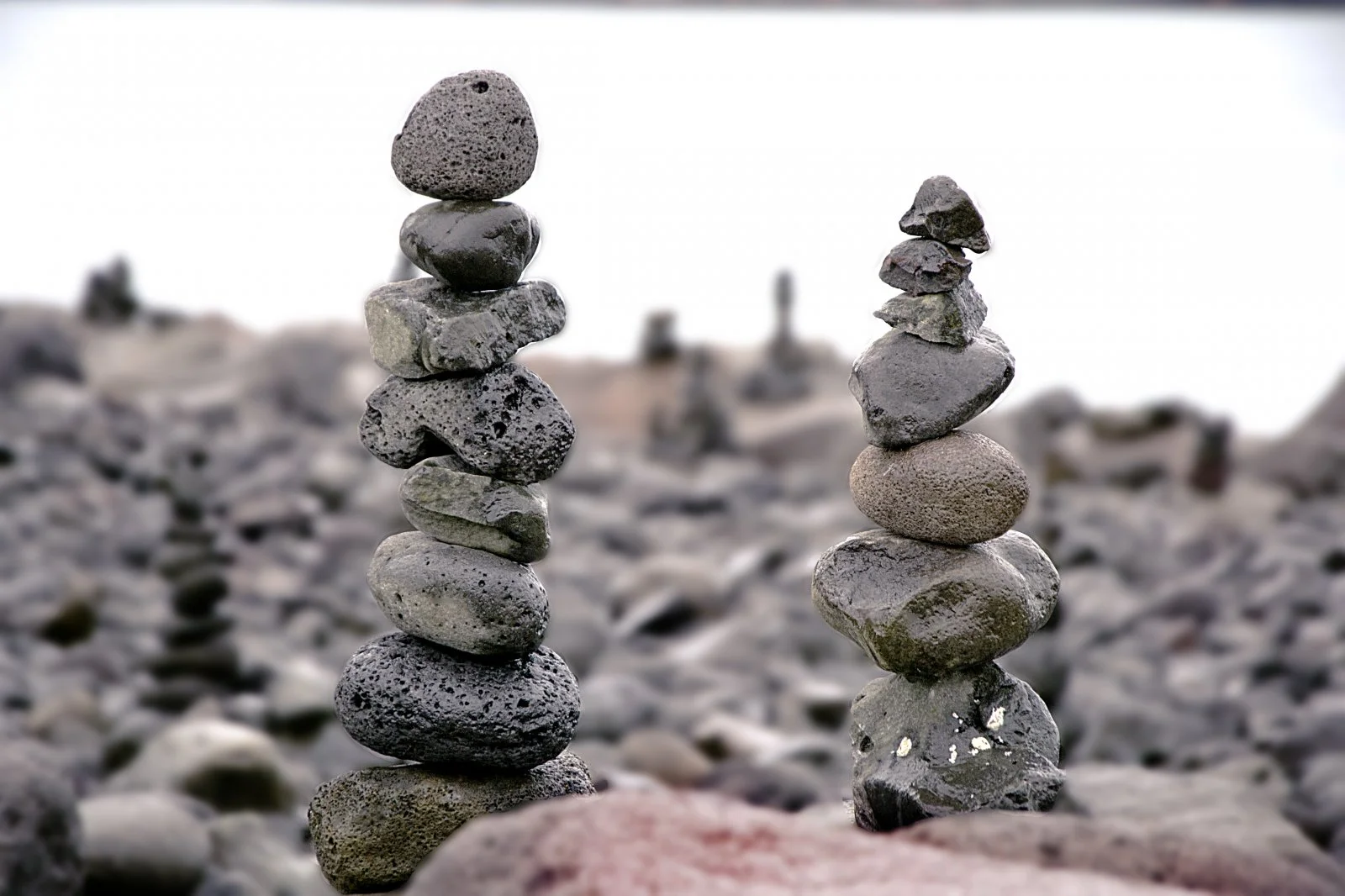 Rocks _ Iceland.webp
