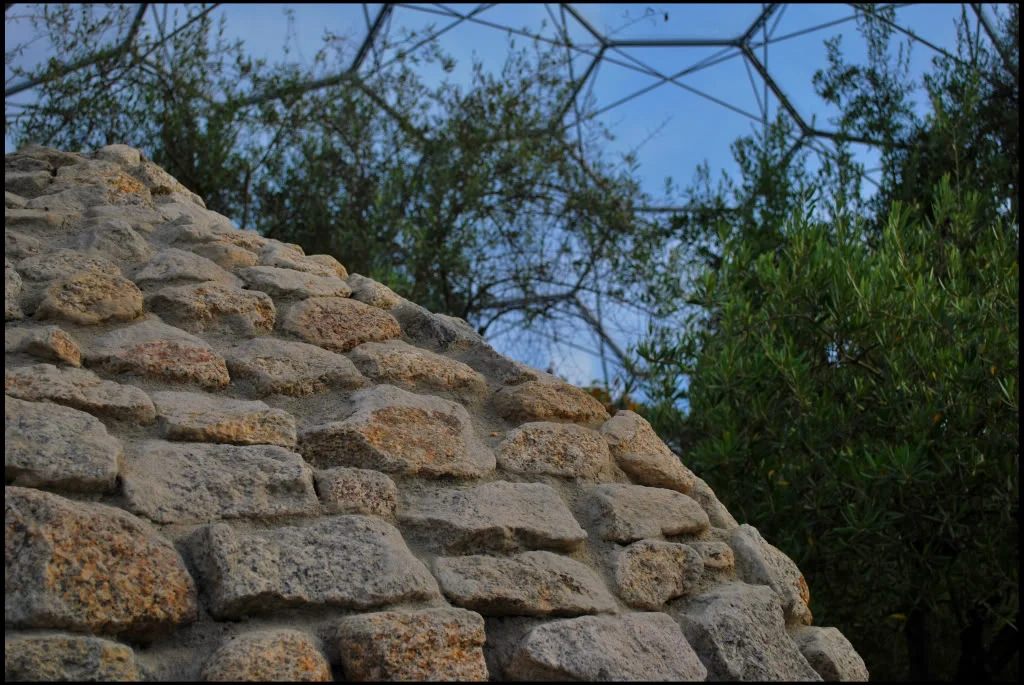 Rocks.webp
