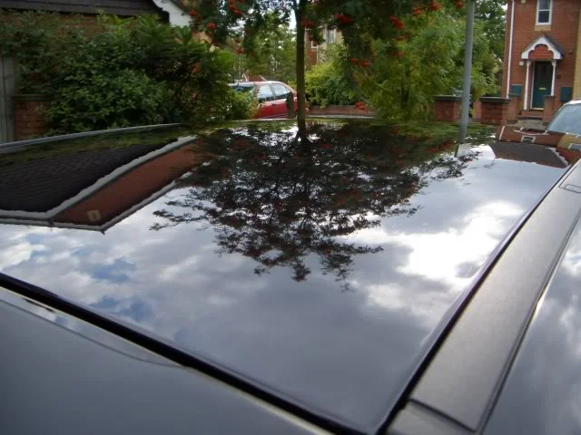ROOF.webp
