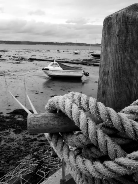 rope-1.webp