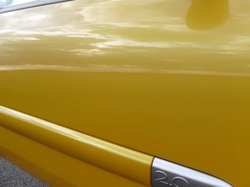 S1050169.webp