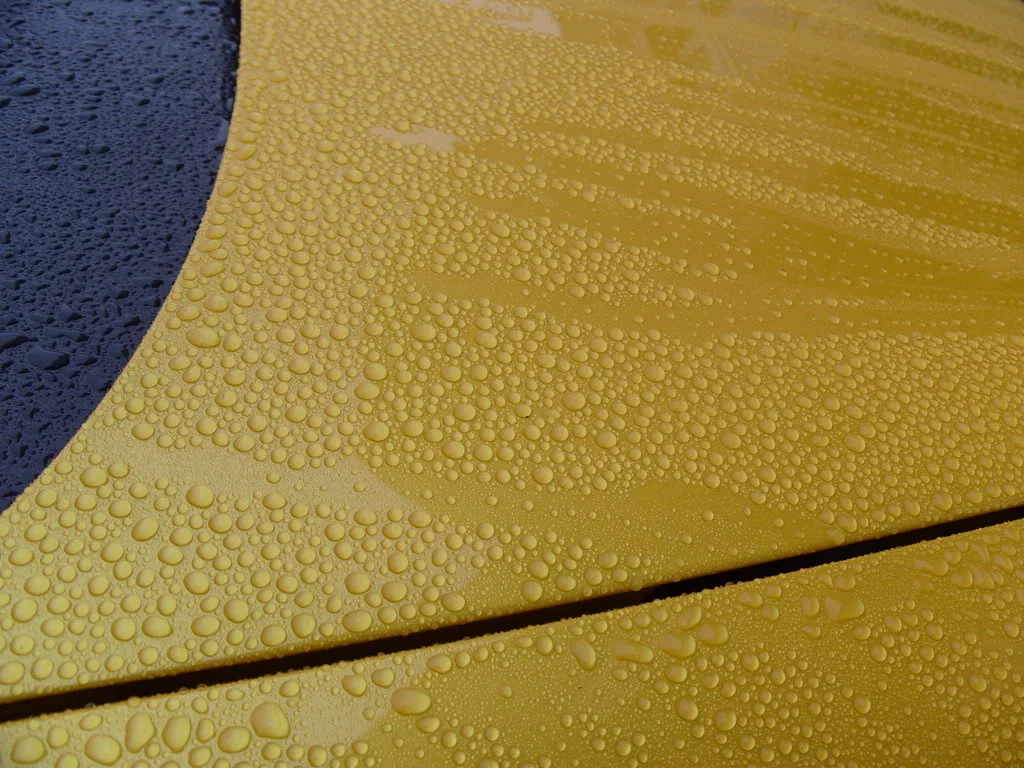 S1050346.webp