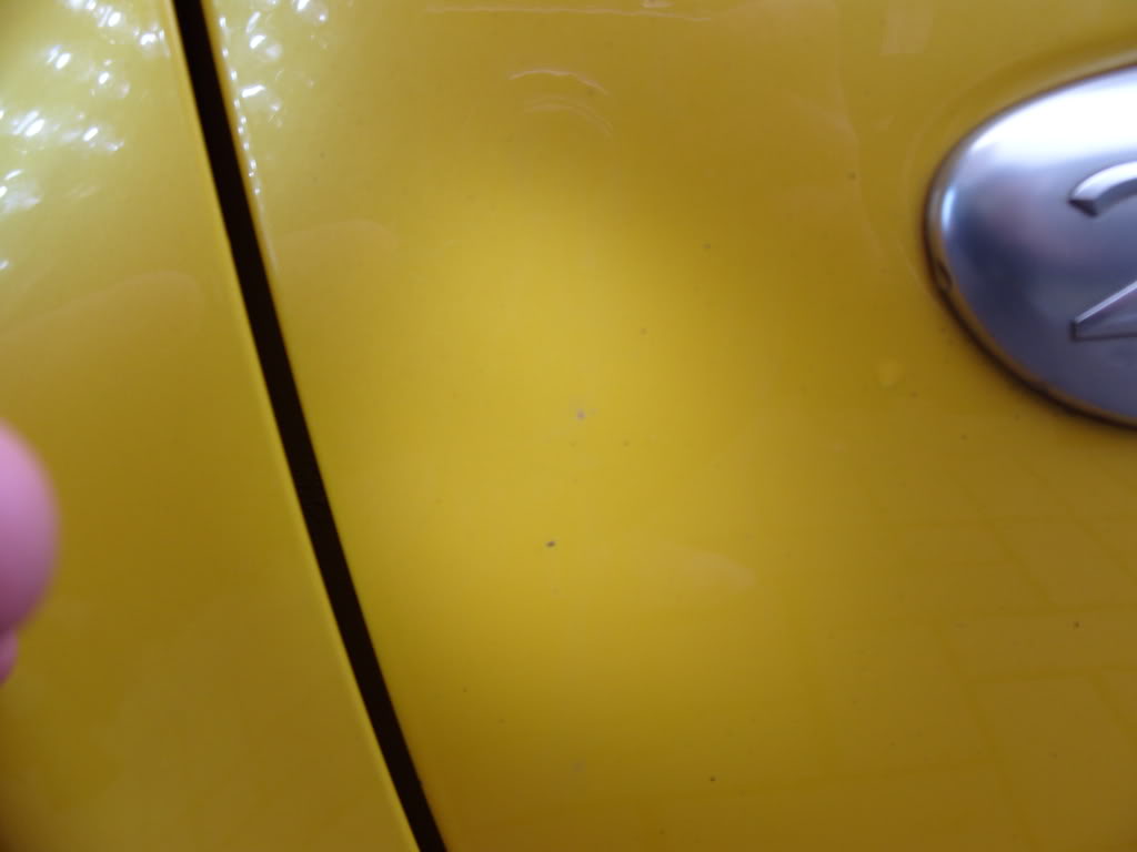S1050382.jpg S1050382.jpg