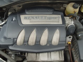 S1052096.jpg