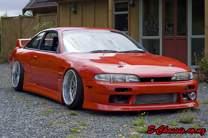 s14_rezaxii_l.jpg