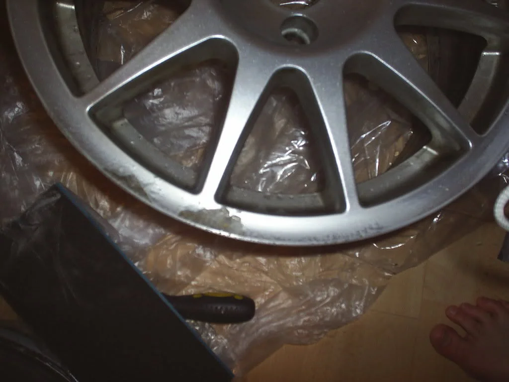 S4010021.webp