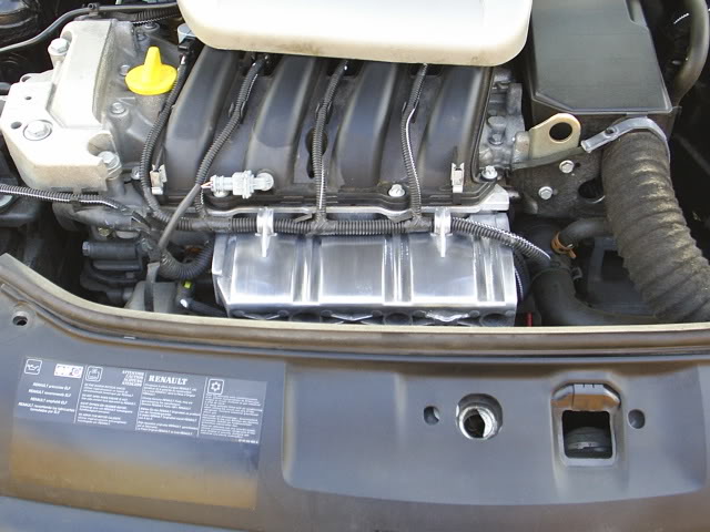 S4010063.jpg