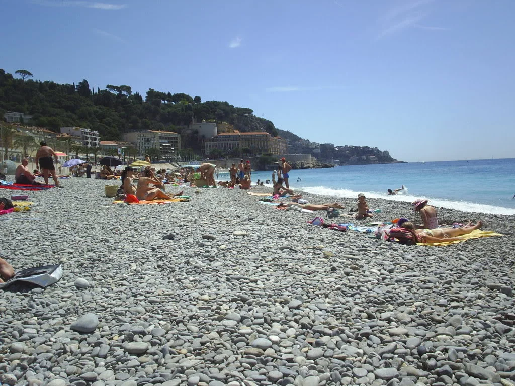 S4010166.webp
